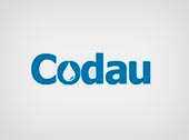 Codau